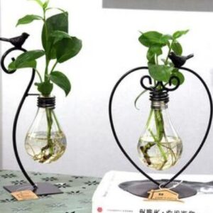 Hydroponic Plant Vessel Indoor Green Plants Glass Planter Pot with Steel Stand